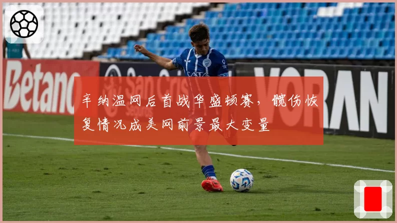 辛纳温网后首战华盛顿赛，髋伤恢复情况成美网前景最大变量