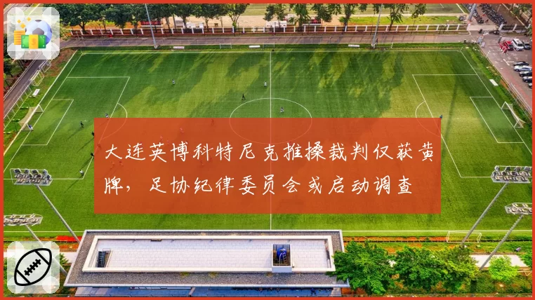 大连英博科特尼克推搡裁判仅获黄牌，足协纪律委员会或启动调查