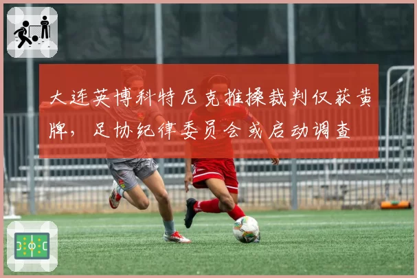 大连英博科特尼克推搡裁判仅获黄牌，足协纪律委员会或启动调查